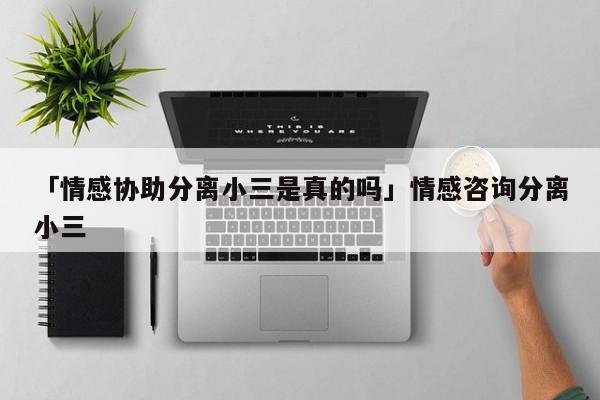 「情感協(xié)助分離小三是真的嗎」情感咨詢分離小三